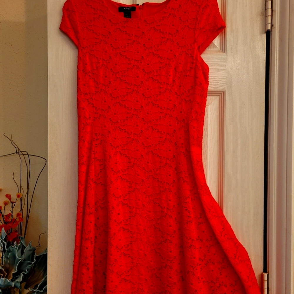 Alfani lace dress fruit punch color